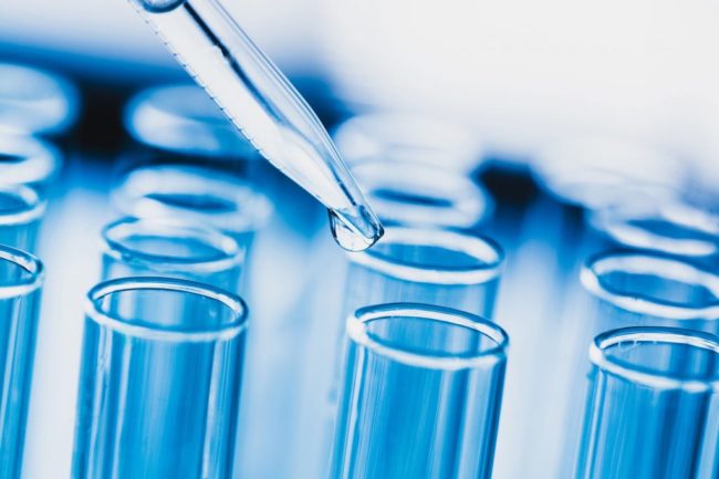 biophy biophy